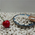 High Quality Beans And Grains White Kidney Beans For Sale